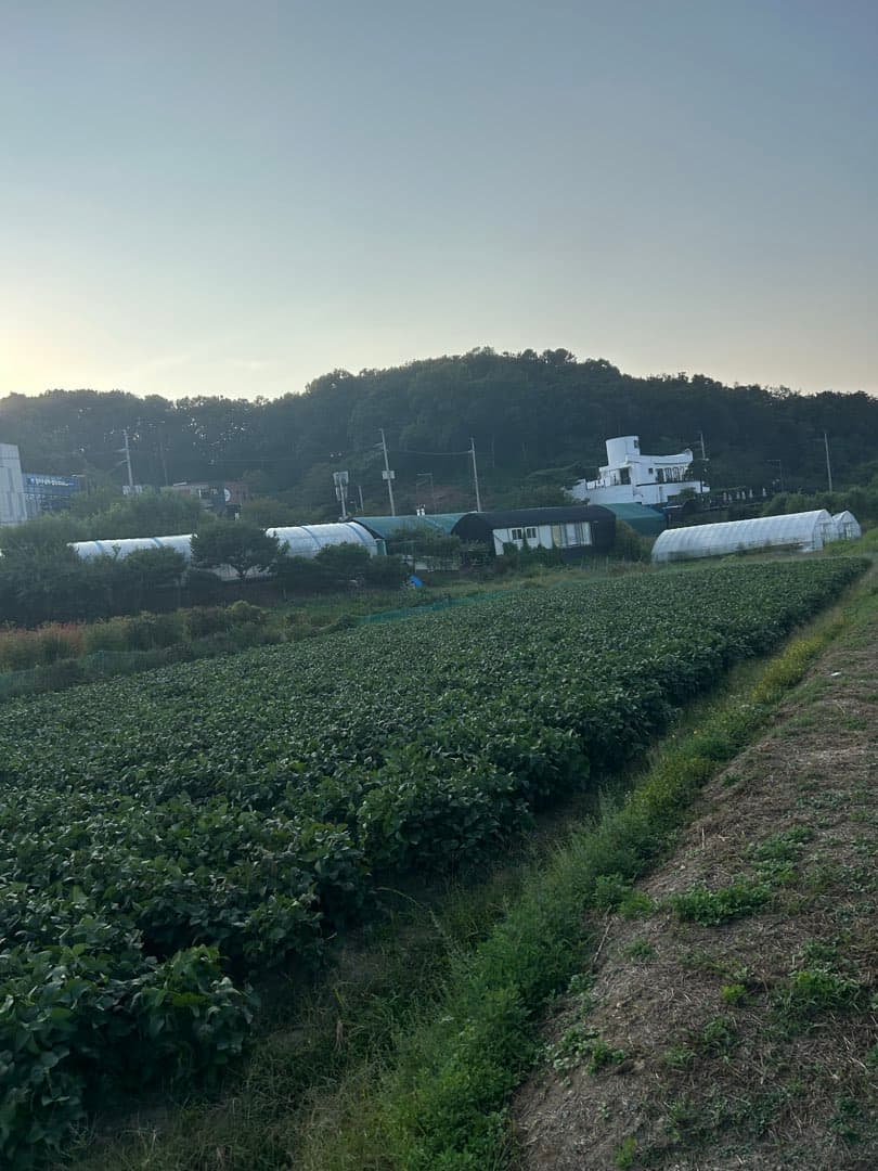 도전배지 이미지 1/3